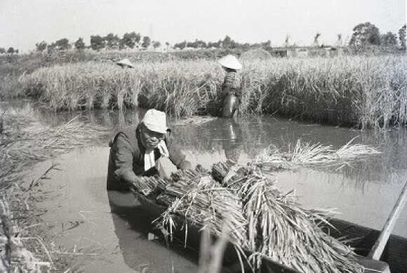 農地の写真
